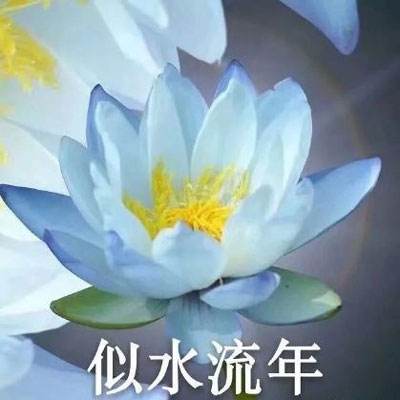 代号桃园内购破解版下载