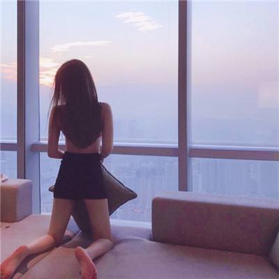 庇护大师游戏下载